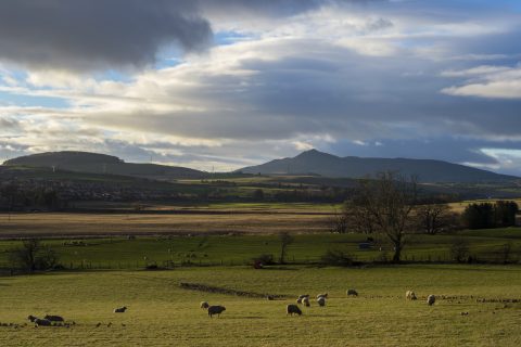 View to Bennachie