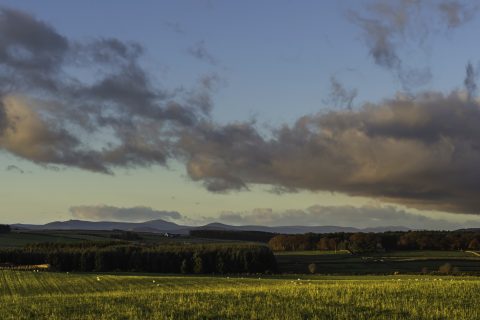 View to Bennachie