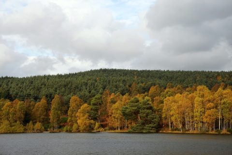 Aboyne Loch