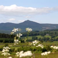 View to Bennachie View to Bennachie