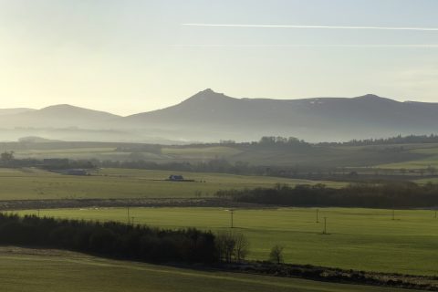 View to Bennachie
