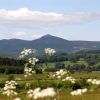 View to Bennachie View to Bennachie